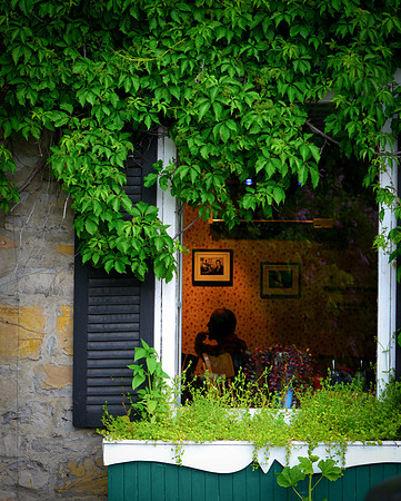 Window